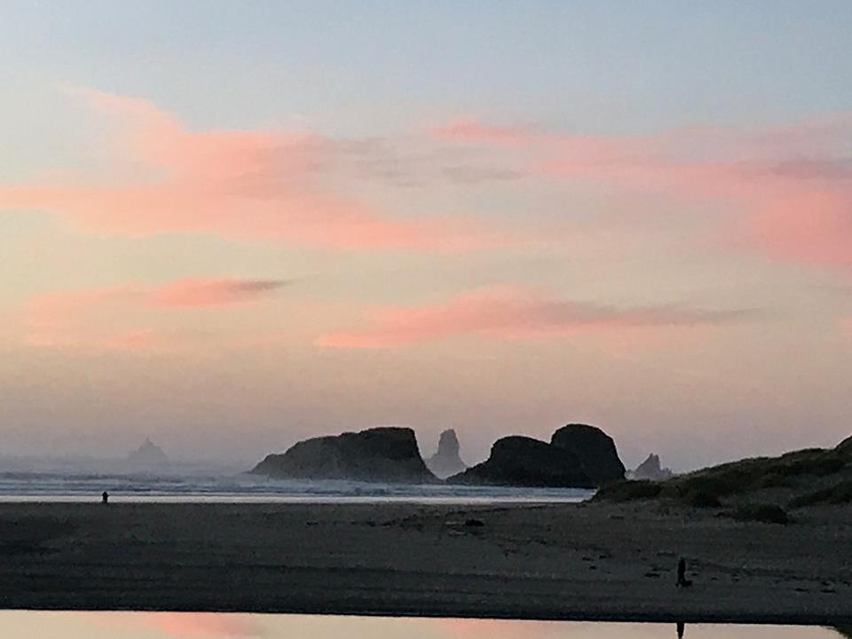 מלון קנון ביץ' Webb'S Scenic Surf מראה חיצוני תמונה